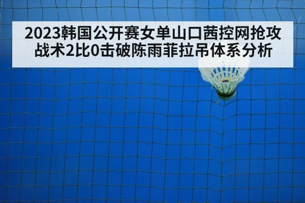 2023韩国公开赛女单山口茜控网抢攻战术2比0击破陈雨菲拉吊体系分析
