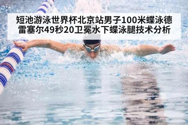 短池游泳世界杯北京站男子100米蝶泳德雷塞尔49秒20卫冕水下蝶泳腿技术分析